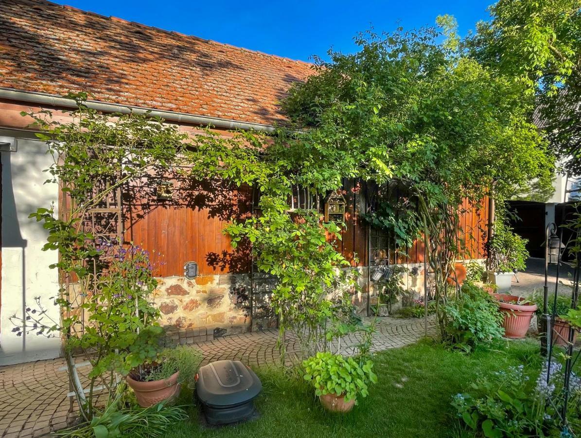 Ferienhaus Burgblick Munzenberg Bagian luar foto
