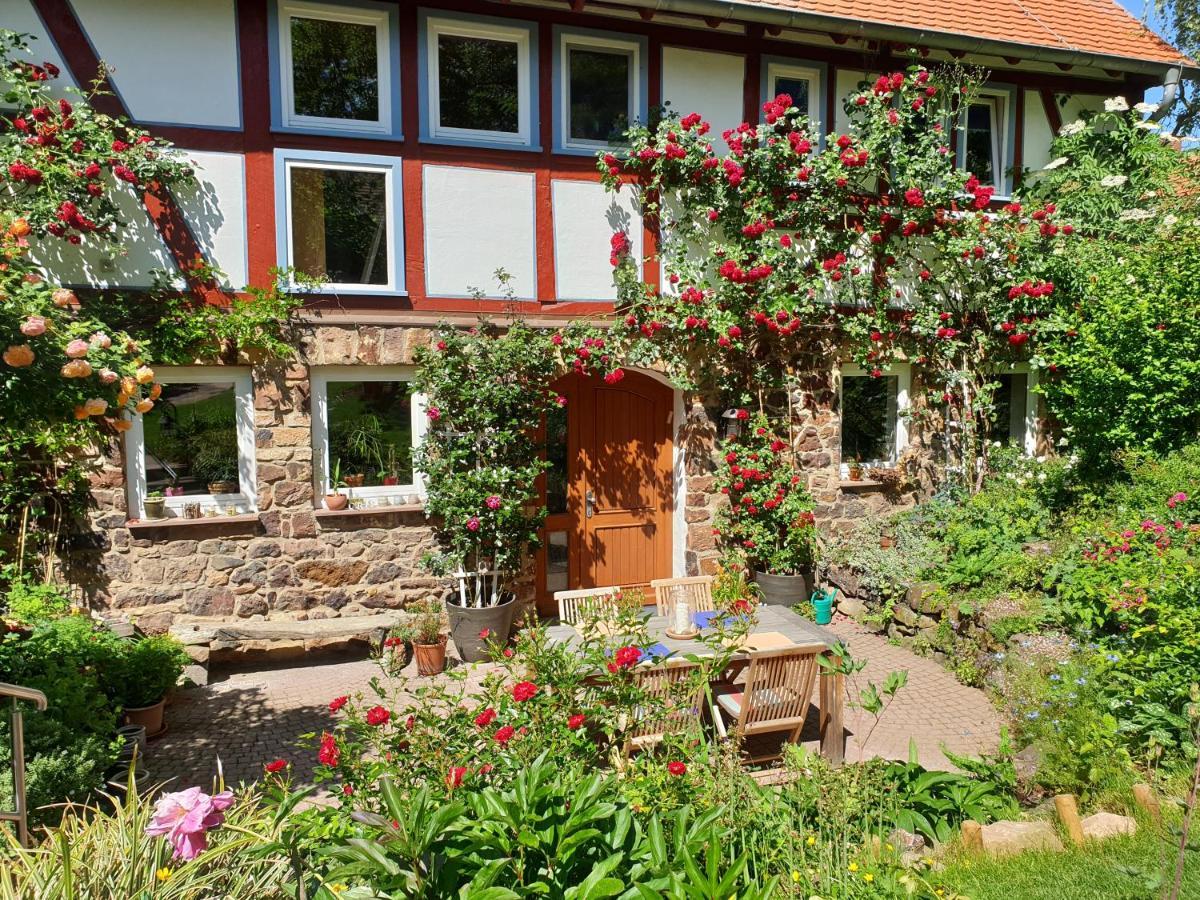 Ferienhaus Burgblick Munzenberg Bagian luar foto