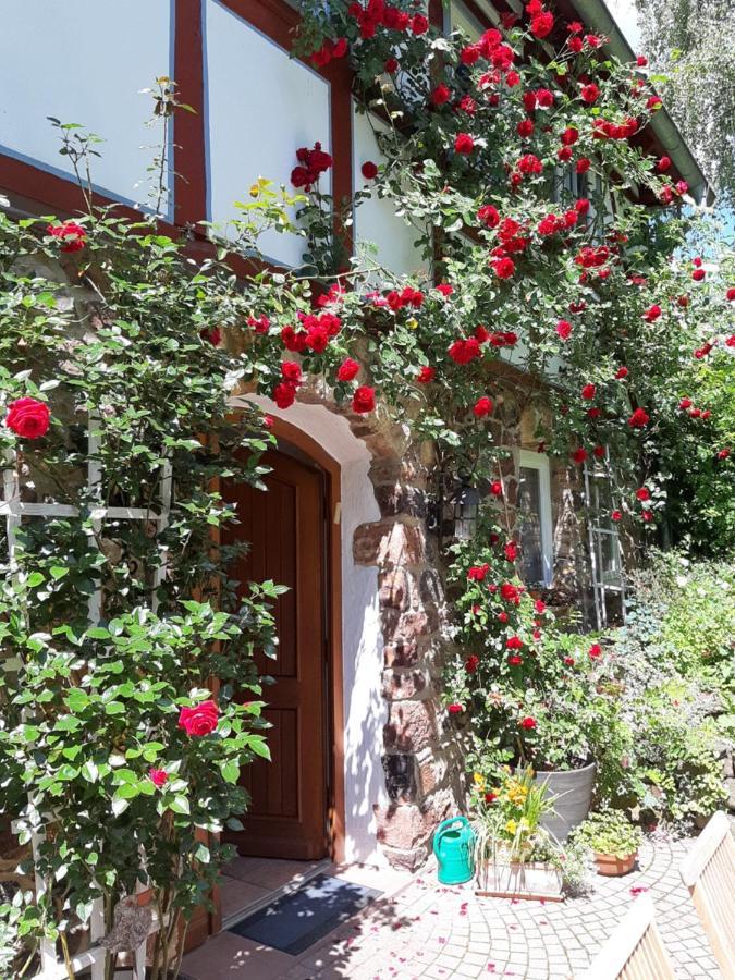 Ferienhaus Burgblick Munzenberg Bagian luar foto